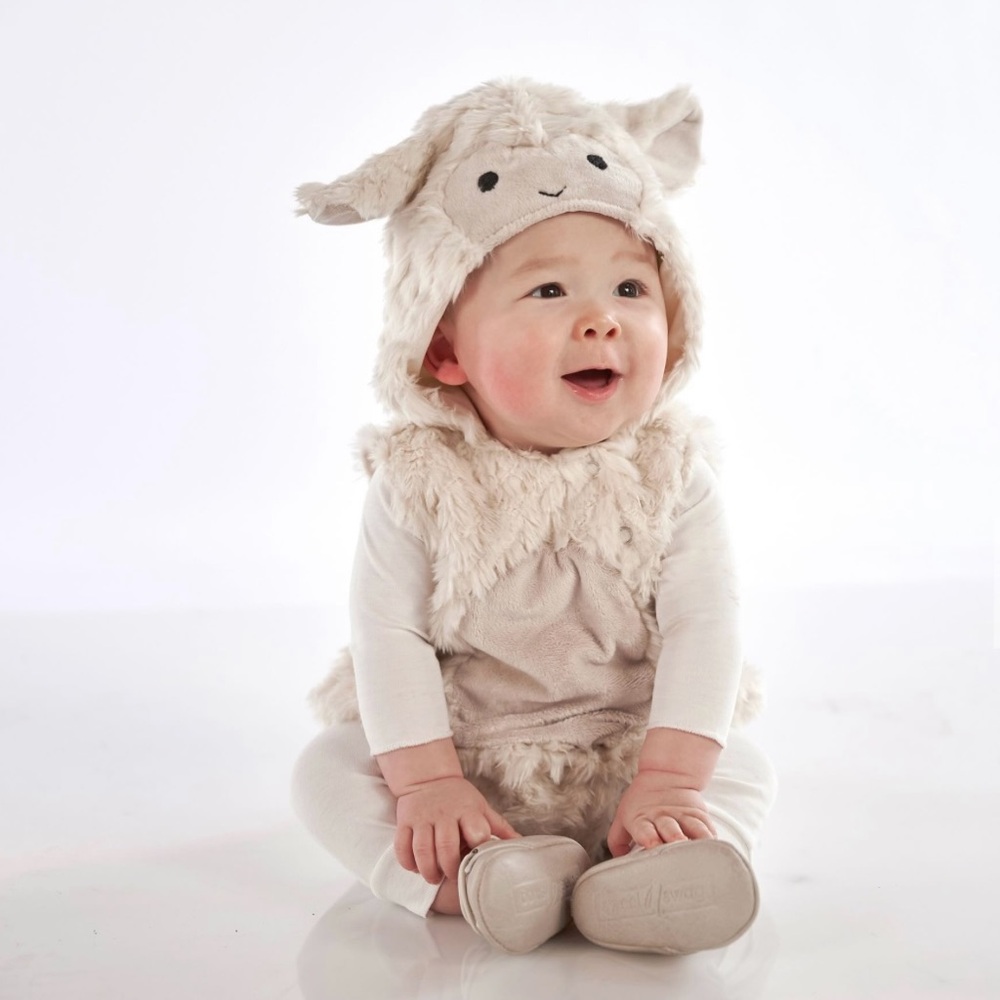 Pottery barn lamb EUC